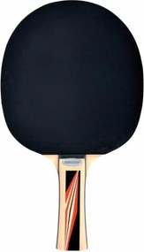 Ρακέτα Πινγκ Πονγκ Schildkröt Top Team 600