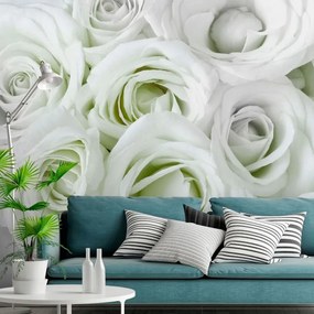 Αυτοκόλλητη φωτοταπετσαρία - Satin Rose (Green) - 343x245