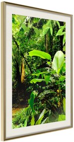 Αφίσα - In the Rainforest - 20x30 - Χρυσό - Με πασπαρτού