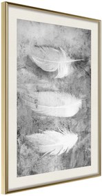 Αφίσα - Delicate Feathers - 40x60 - Χρυσό - Με πασπαρτού