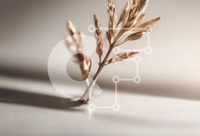 Intra Συλλεκτικό Ξύλινο Παζλ Plywood 4mm - Λεπτό κλαδί σε απαλό φως Σε Ξύλινο Κουτί - Διαστάσεις: 10x10 cm – 25 κομμάτια