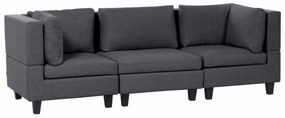 Πολυμορφικός καναπές Berwyn 1756, Σκούρο γκρι, 228x76x80cm, Πόδια: Πλαστική ύλη,Ευκάλυπτος