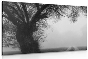 Εικόνα ενός τεράστιου ασπρόμαυρου δέντρου - 90x60