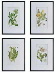 Artekko Botanical Πίνακας με Κορνίζα Πλαστικό Γυαλί Μαύρο Πράσινο (50x3x70)cm Σετ/4 Artekko AV44590
