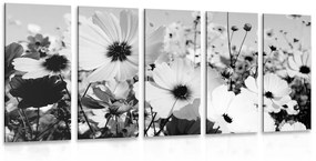 Ανοιξιάτικα λουλούδια λιβαδιών με 5 μέρη εικόνα σε μαύρο & άσπρο - 100x50