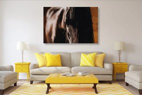 Εικόνα μεγαλοπρεπές άλογο - 90x60