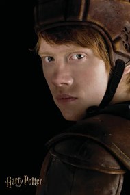 Εικονογράφηση Harry Potter - Ron Weasley