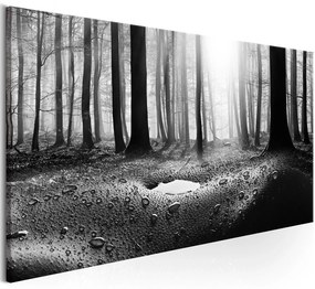 Πίνακας - Forest after Rain (1 Part) Narrow 135x45