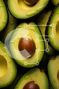 Σετ των 2 Intra Συλλεκτικό Ξύλινο Παζλ Plywood 4mm - Κοντινό πλάνο του Avocado Halves Σε Ξύλινο Κουτί - Διαστάσεις: 10x10 cm – 25 κομμάτια