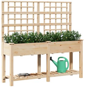 vidaXL Κήπος Γλάστρα με Πλέγμα & Ράφι 161x43x152 εκ. Μασίφ ξύλο πεύκου