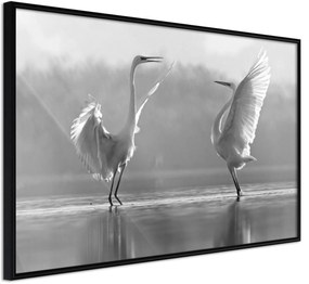 Αφίσα - Black and White Herons - 60x40 - Μαύρο - Χωρίς πασπαρτού