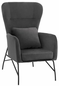 Πολυθρόνα Μπερζέρα HM8721.01 67x80x102cm Grey - Black Velvet, Metal
