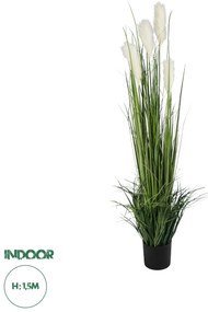 20106 GloboStar® Artificial Garden PAMPAS GRASS 20106 Τεχνητό Διακοσμητικό Φυτό Γρασίδι της Πάμπας Υ150cm