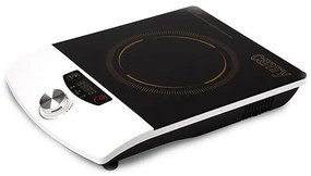 CAMRY ONE-FIELD INDUCTION COOKER