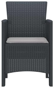 vidaXL Καρέκλα Κήπου 2 pcs Ανθρακί 53 x 49 x 85 εκ. PP