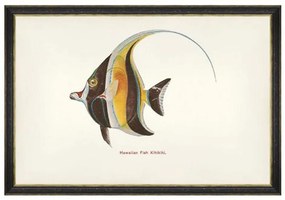 Κάδρο Fishes Of Hawaii - Kihikihi Fish FA13208 60X40 MindTheGap Οριζόντιοι Ξύλο