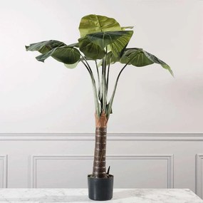 Τεχνητό Δέντρο Αλοκάσια 3760-6 60x60x120cm Green Supergreens Polyethylene