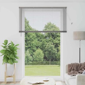 vidaXL Βενετσιάνικες Ρόδες Ασημί 220 x 145 εκ Αλουμίνιο
