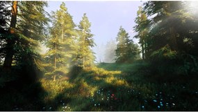 Βιντεοπαιχνίδι PlayStation 5 Nacon HUNTING SIMULATOR 2