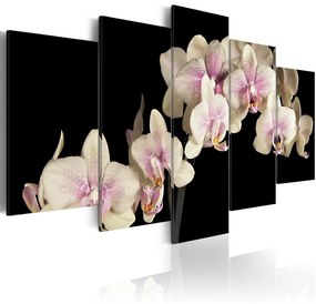 Πίνακας - An orchid on a contrasting background 100x50