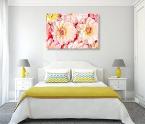 Εικόνα τρυφερά λουλούδια ντάλιας - 90x60