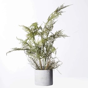 Τεχνητό Φυτό Σπαράγγι Setaceus 2360-6 30x32x50cm Green Supergreens Polyethylene
