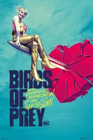 Αφίσα Birds Of Prey - Broken Heart, (61 x 91.5 cm)