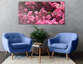 Εικόνα λεπτομερώς άνθη κερασιάς - 120x60