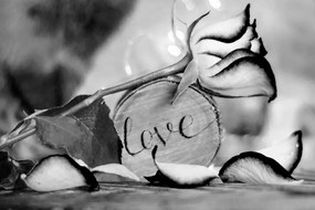 Εικόνα ρομαντικής θρησκείας σε ασπρόμαυρο Love - 60x40