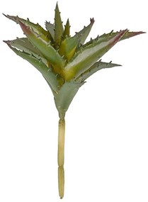 Διακοσμητικό Φυτό Aloe PT3648 15,2x17,1x15,2cm Green Present Time Πλαστικό