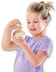 Επιτραπέζιο Παιχνίδι SES Creative Explore Geodes (FR)