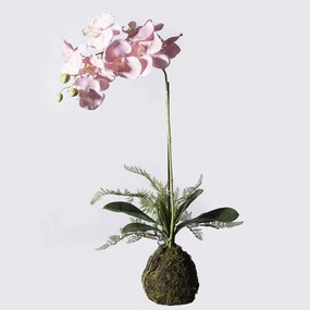 Τεχνητό Φυτό Ορχιδέα Με Βάση Moss 0170-6 30x15x60cm Pink Supergreens Πολυαιθυλένιο