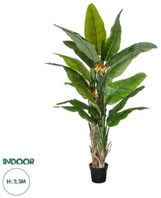 20381 GloboStar® Artificial Garden BANANA STRELITZIA REGINAE 20381 - Τεχνητό Διακοσμητικό Φυτό Μπανανιά - Στρελίτσια - Πουλί του Παραδείσου Υ230cm
