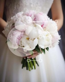 Intra Συλλεκτικό Ξύλινο Παζλ Plywood 4mm - Νύφη με λευκή και ροζ παιώνια ανθοδέσμη Σε Ξύλινο Κουτί - Διαστάσεις: 10x10 cm – 25 κομμάτια