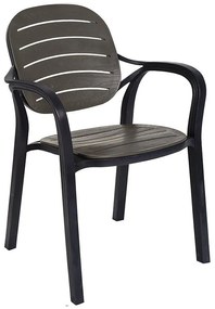 Καρέκλα - Πολυθρόνα Gentle PP ανθρακί 57.5x58x84 εκ.