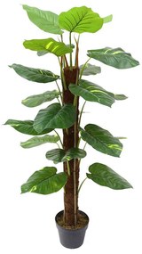 Τεχνητό Δέντρο Χρυσός Πόθος 8860-6 45x45x115cm Green Supergreens Polyethylene