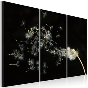 Πίνακας - Dandelions- the transience 60x40