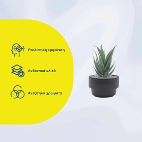 Τεχνητό Φυτό σε Μοντέρνο Μαύρο Κεραμικό Γλαστράκι 8x14cm