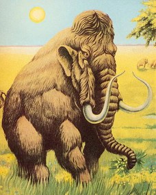 Εικονογράφηση Woolly Mammoth, CSA Images