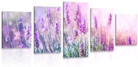 Εικόνα 5 μερών μαγικών λουλουδιών λεβάντας - 100x50