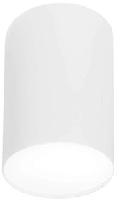Φωτιστικό Οροφής - Σποτ Point Plexi L 6528 White Nowodvorski Metal, Plastic