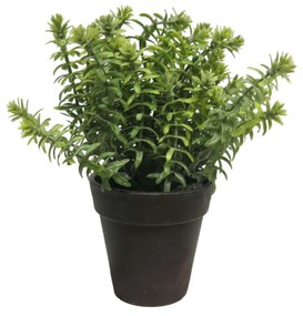 Supergreens Τεχνητό Φυτό Αρωματικό 23 εκ. - 0750-6 - 0750-6