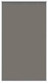 vidaXL Ρολέρ Μπλακάουτ γκρί 125x210 cm Πλάτος υφάσματος 121,6 cm