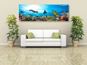 Εικόνα κοραλλιογενών υφάλων με ψάρια και χελώνες - 135x45