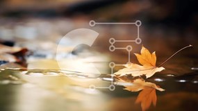 Intra Συλλεκτικό Ξύλινο Παζλ Plywood 4mm - Κίτρινο φύλλο που επιπλέει στο νερό - εποχή φθινοπώρου Σε Ξύλινο Κουτί - Διαστάσεις: 10x10 cm – 25 κομμάτια