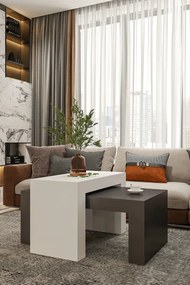 Stewehome Σετ 2 μοντέρνα τραπεζάκια σαλονιού από σαντουλάμ 50x90 cm