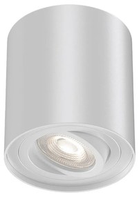 Φωτιστικό Σποτ Braytron BH04-00300 Λευκό (White)