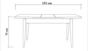 Τραπέζι Jemmy Megapap επεκτεινόμενο χρώμα atlantic pine 120/153x75x77εκ.