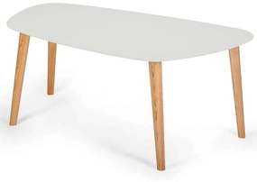 Τραπέζι Σαλονιού Endocarp ENDOCARPCT8 110x66x45cm Pearl Grey
