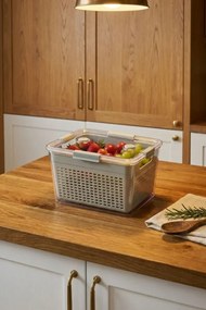 Stewehome Δοχείο αποθήκευσης 4 λίτρων από πλαστικό 18x24x15 cm
